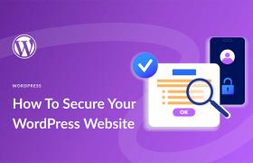 how to secure WordPress website?